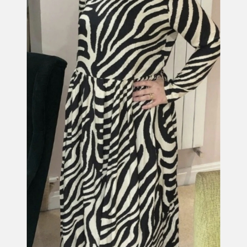 H&M Zebra Print Long Sleeve Dress
